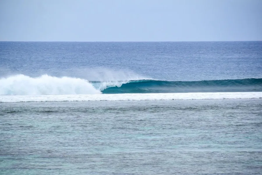 The Complete Guide to Surfing in Tonga