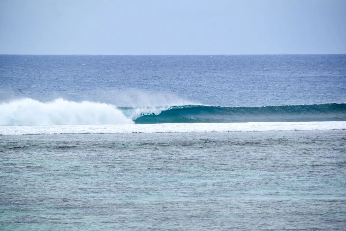 The Complete Guide to Surfing in Tonga