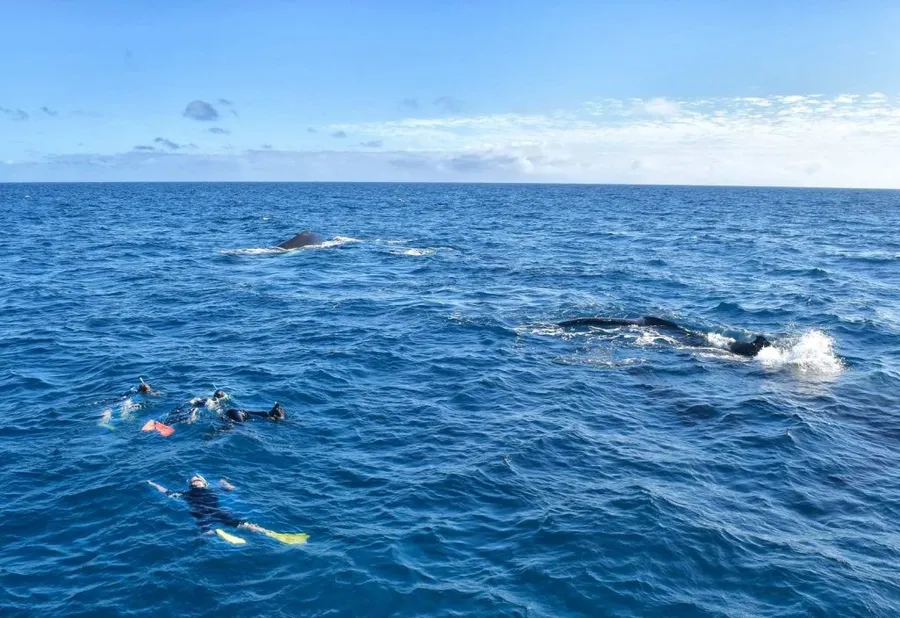 10 Things to Do in Ha'apai with Kids