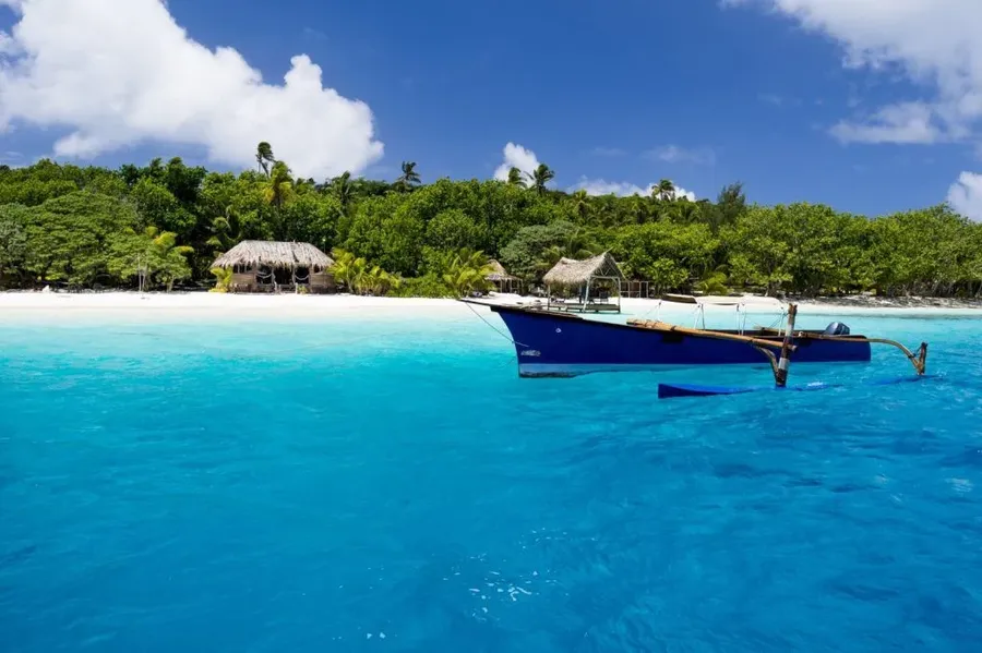 10 Best Whale Swim Tours in Vava'u [2023]