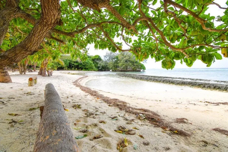 20 BEST Beaches in Tonga ⛱️