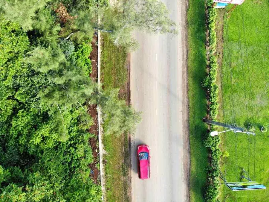 10 Safety Tips for Driving in Tonga
