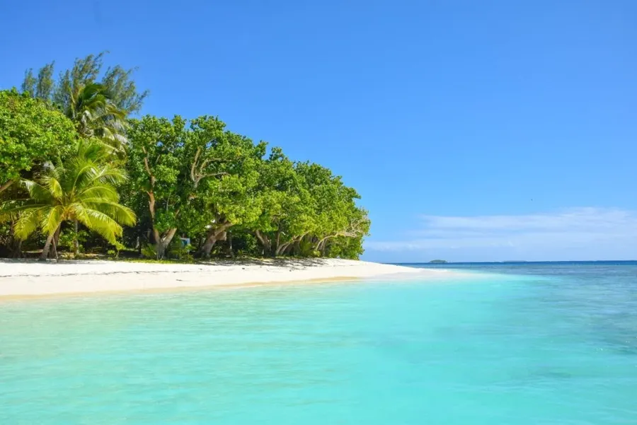 Where to See Whales in Tonga