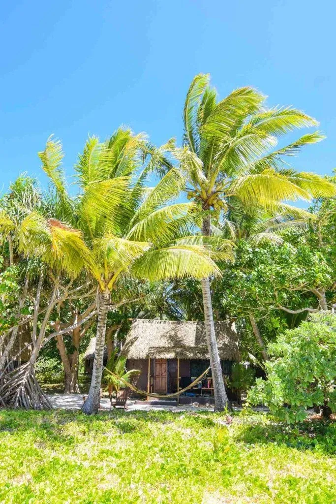 What is it Like to Visit Tonga?