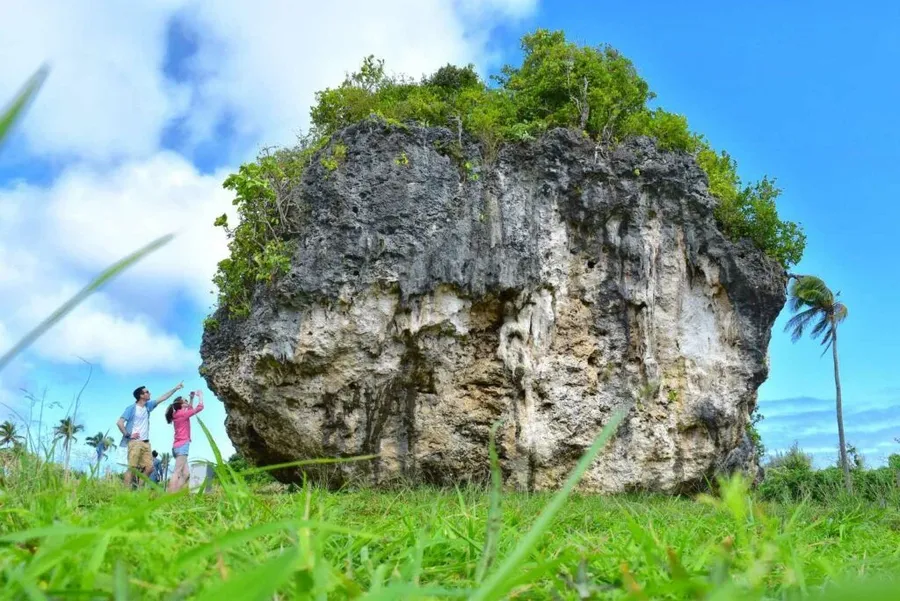 101 Best Things to Do in Tonga: The Ultimate List