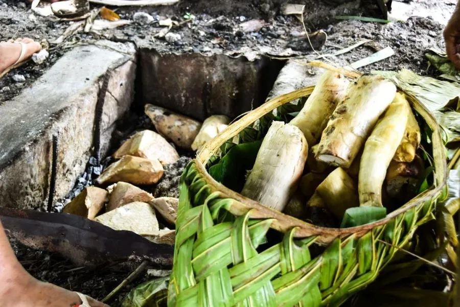 7 Things to Do in Vava'u for Foodies