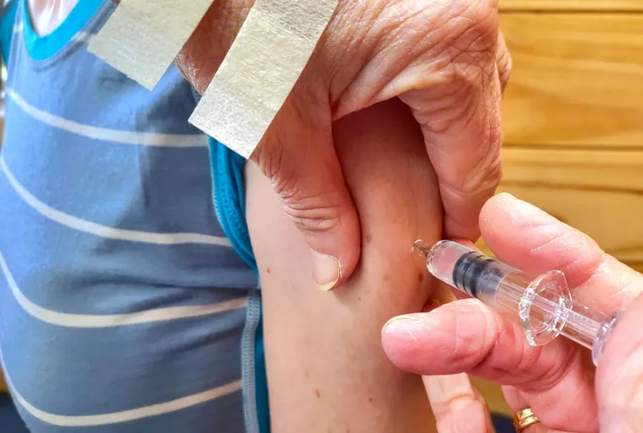 Vaccines Health Vaccination 4 1024x691