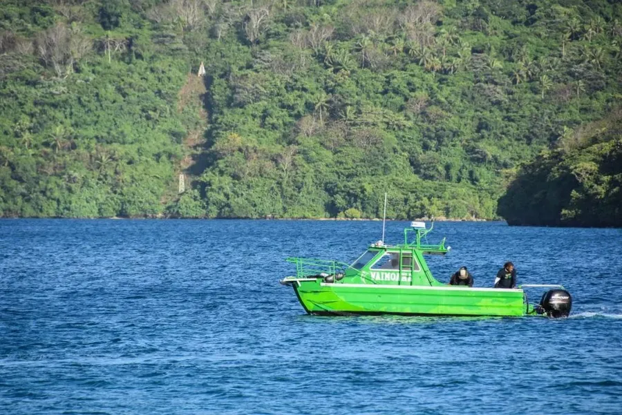 10 Best Whale Swim Tours in Vava'u [2023]