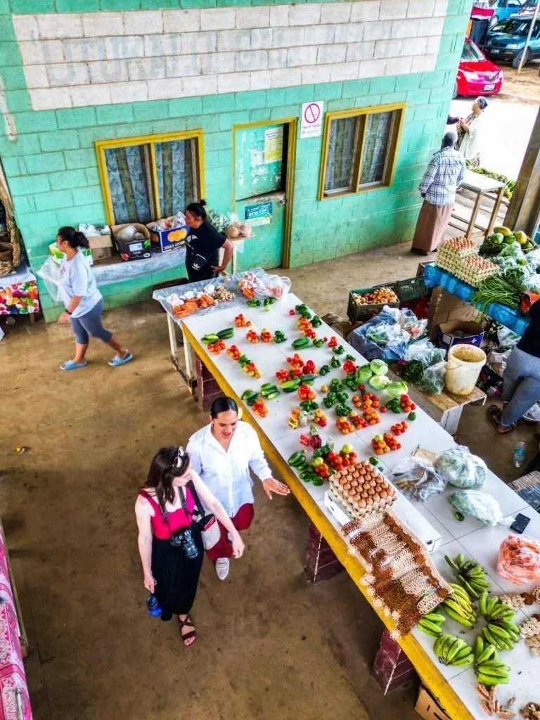 7 Things to Do in Vava'u for Foodies