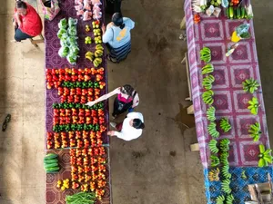 5 Best Markets in Tonga
