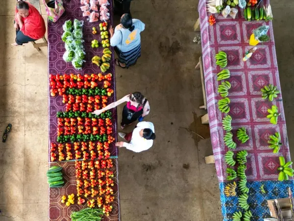 5 Best Markets in Tonga