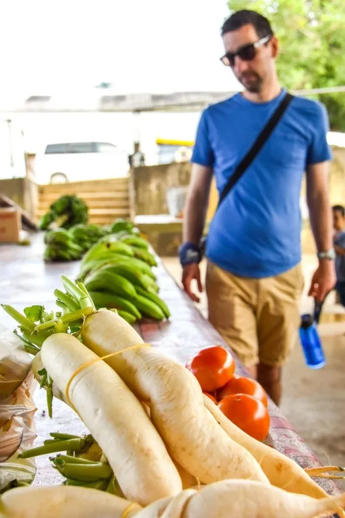 Tonga for Vegans & Vegetarians + 10 Best Restaurants