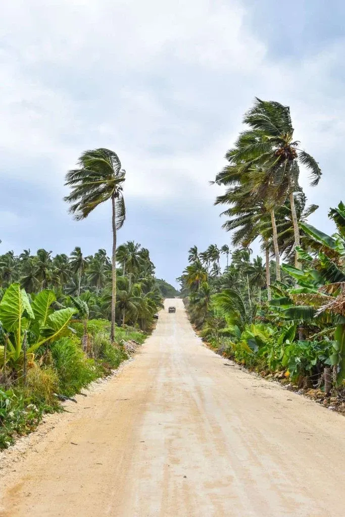 How to Drive in Tonga