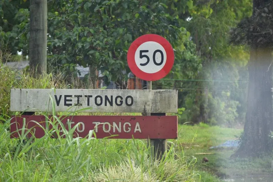 10 Safety Tips for Driving in Tonga