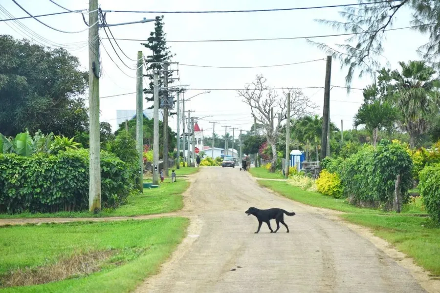 10 Tips for Hiring a Scooter in Tonga