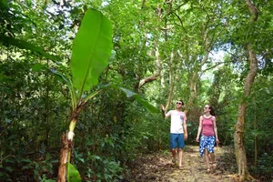 101 Best Things to Do in Tonga: The Ultimate List