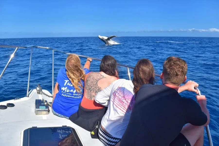 20 Ways to Save Money in Tonga