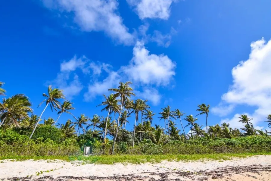 The Best Time to Visit Tonga: A Month-by-Month Guide
