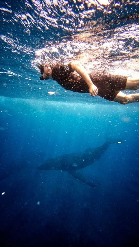 The Adults-Only Travel Guide to Vava'u
