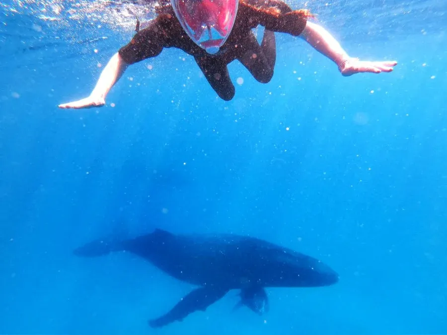 10 Best Natural Attractions in Tonga