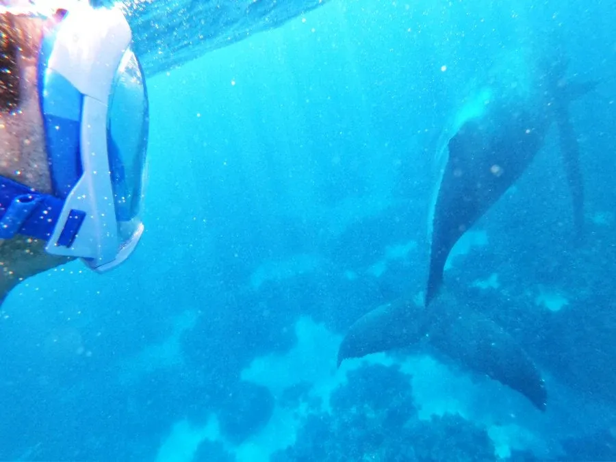 10 Luxury Activities in Ha’apai