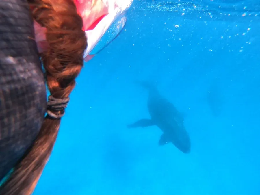 10 Adult-Only Activities in Tonga