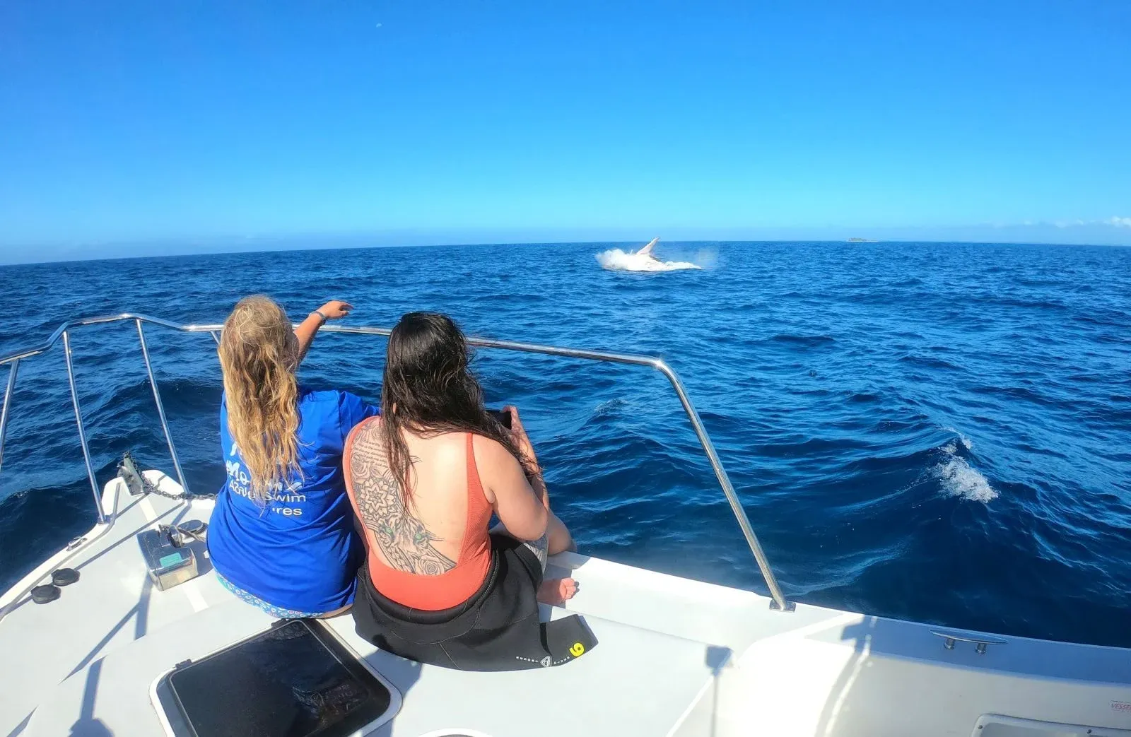10 Best Water Activities in Tonga