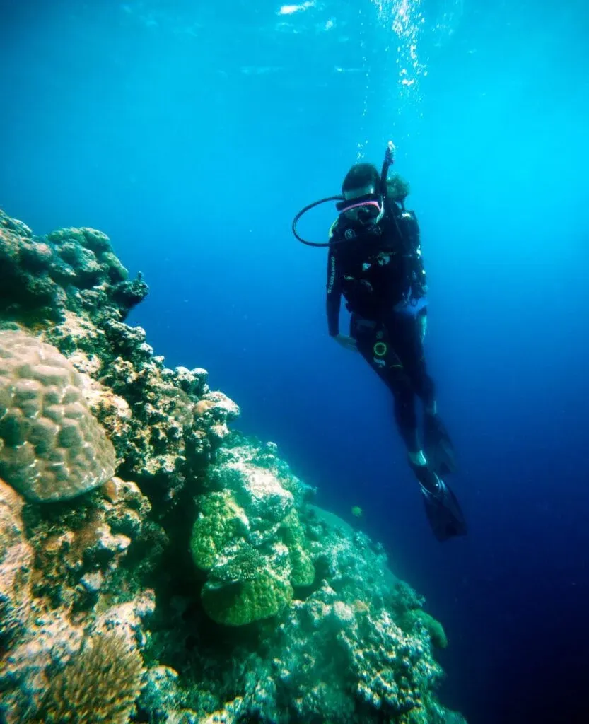 5 Best Dive Shops & Operators in Tonga