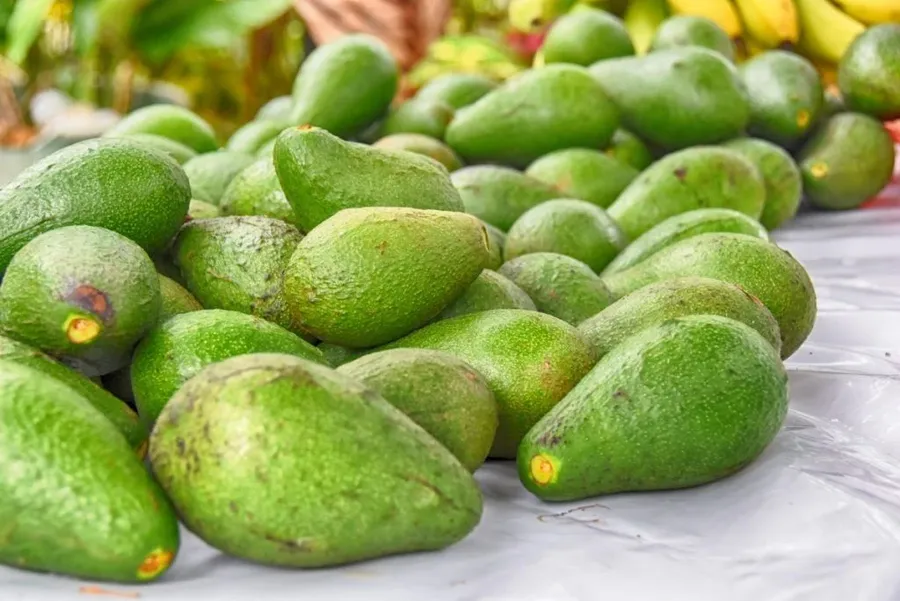 10 Exotic Fruits in Tonga You Have to Try