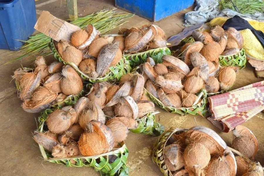 10 Tongan Words You Need to Know When Visiting Tonga
