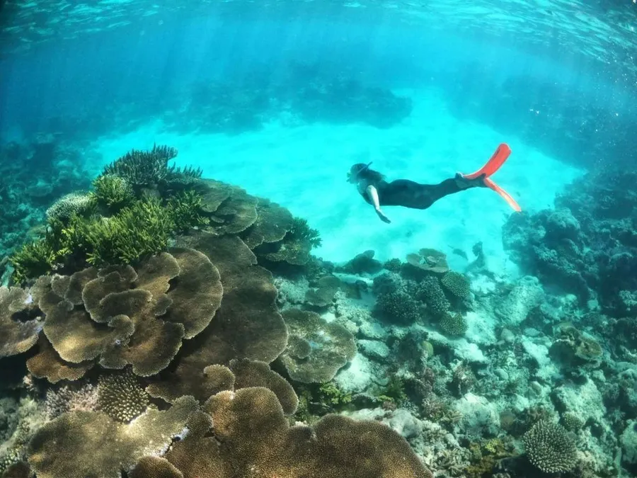 7 Best Island Day Trips from Nuku'alofa