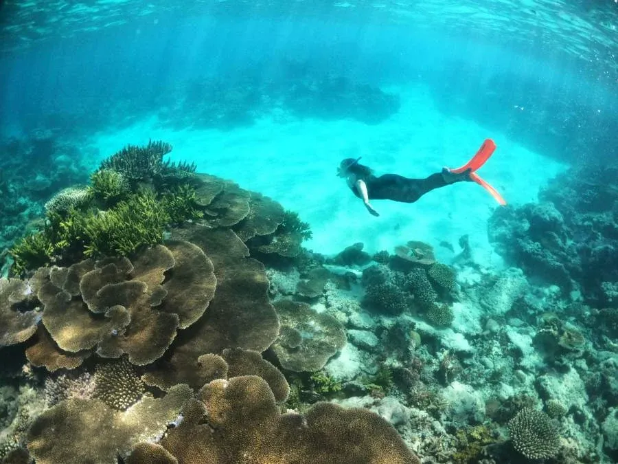 10 Best Places to Snorkel in Tonga