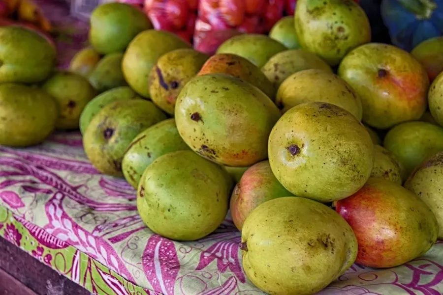 10 Exotic Fruits in Tonga You Have to Try