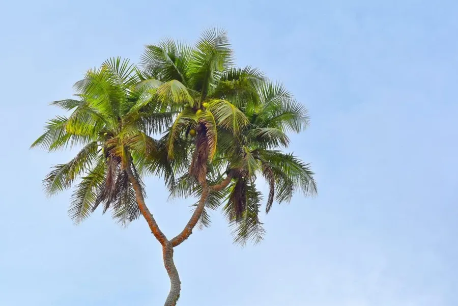 50 BEST Things to Do on Tongatapu ???? [2023]