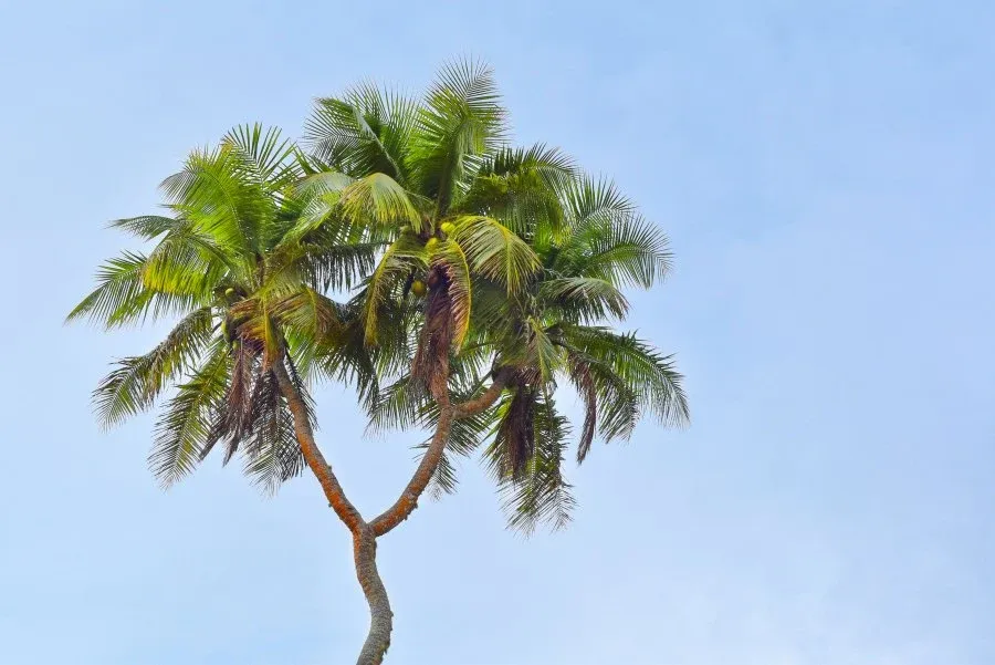 10 Amazing Natural Attractions in Tongatapu