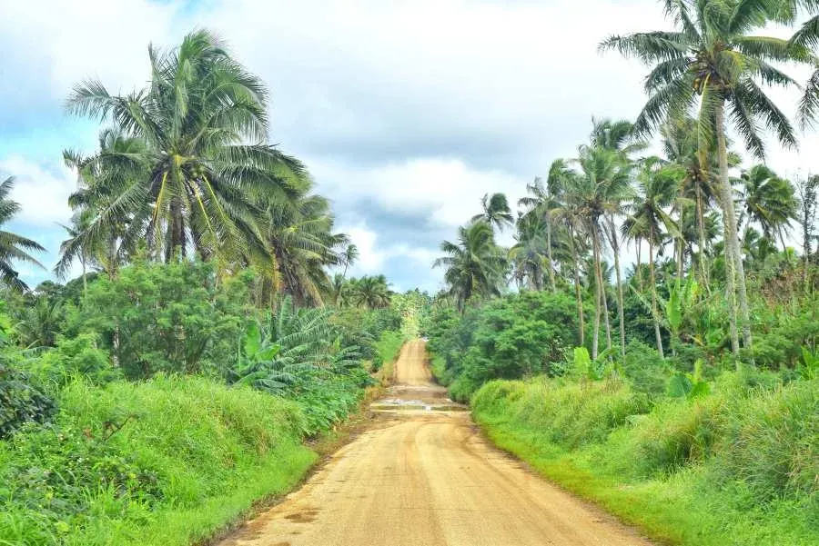 5 Ways to Get to The Niuas (& Get Around The Niuas)